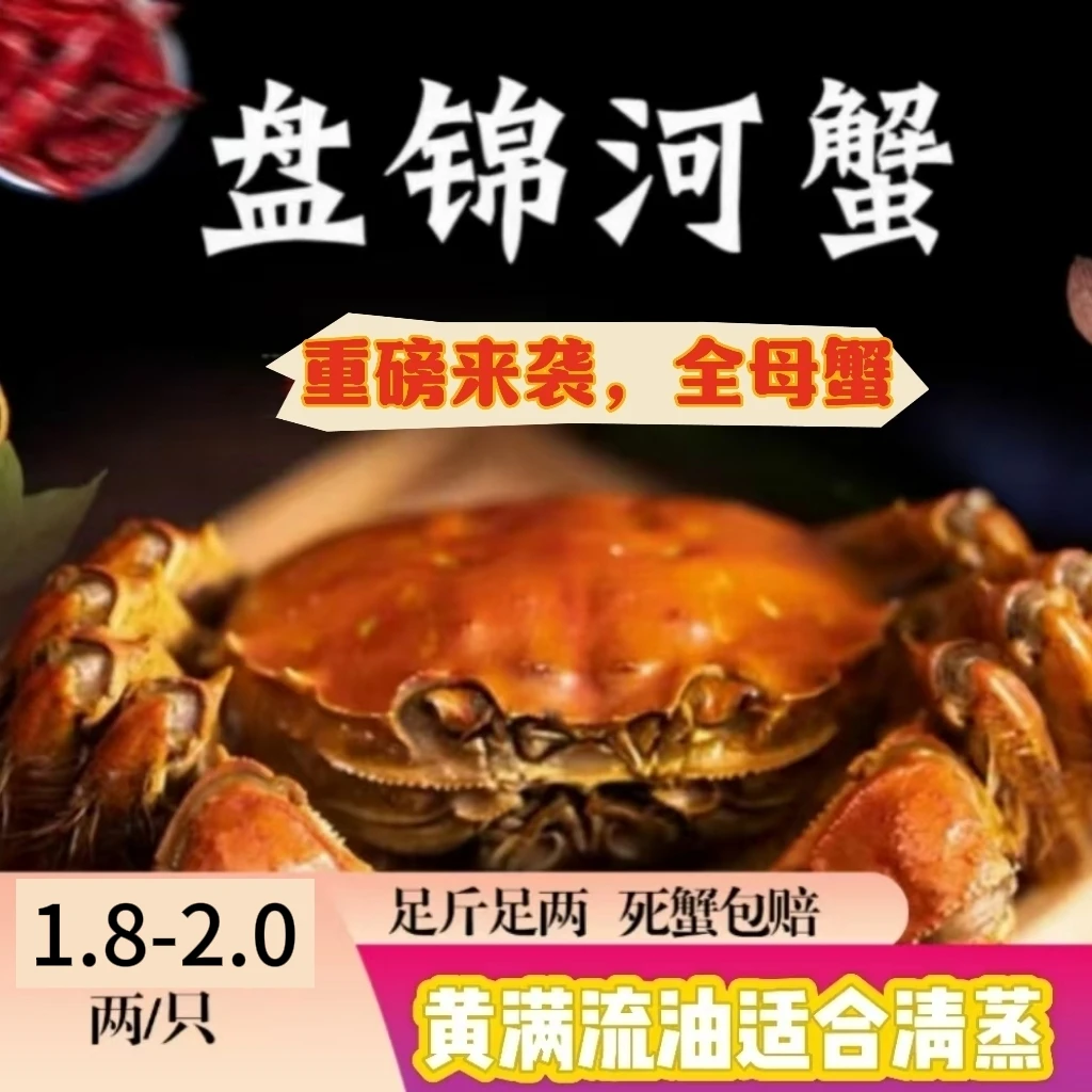 【活蟹】盘锦稻田蟹，1.8-2.0两/只，公蟹+母蟹精美绑腿礼盒顺丰冷链