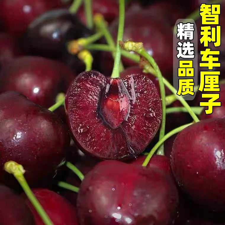 智利进口车厘子1-3斤装大樱桃脆甜多汁孕妇新鲜水果顺丰包邮现货