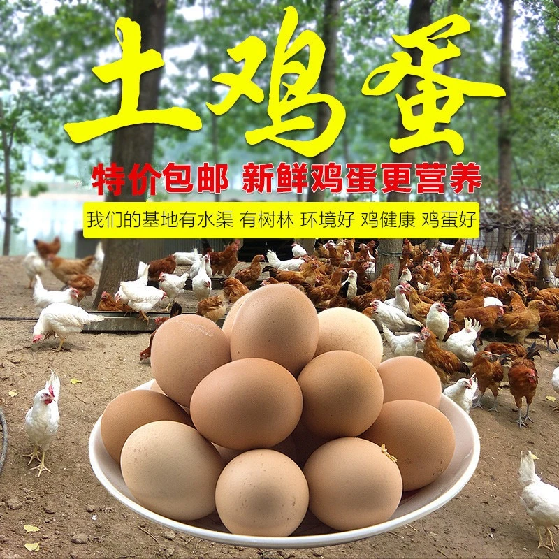 【农家鸡蛋】30个装，都是农家土鸡经产蛋