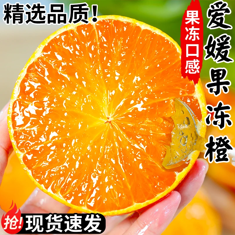 爱媛38号果冻橙子水果无籽皮薄肉厚酸甜多汁现摘现发孕妇水果