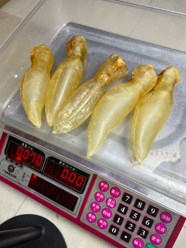南澳本港蜘蛛公胶