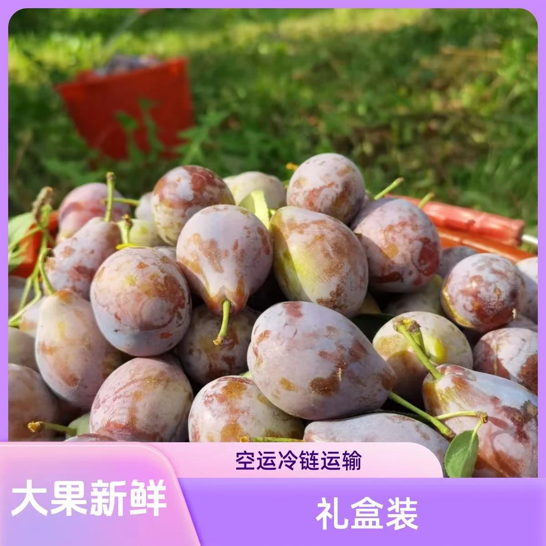 新疆喀什伽师法兰西西梅大果子新鲜原产地直发京东航空运冷链包赔