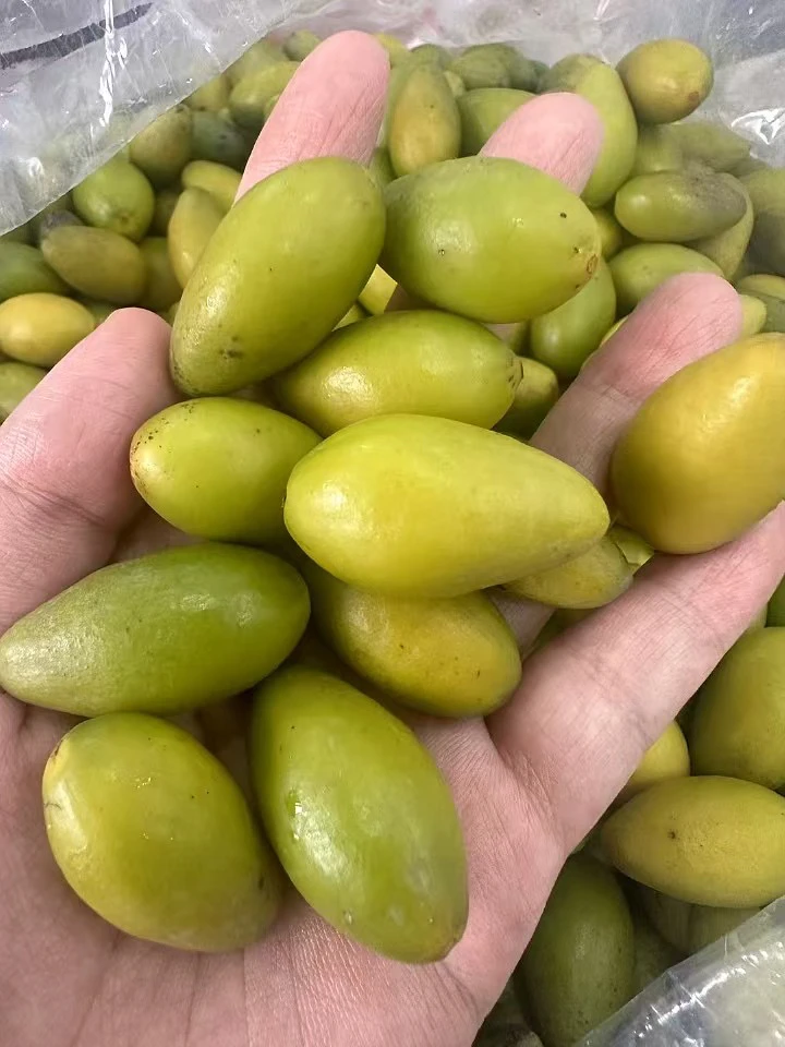 笏石林粦干货推荐橄榄