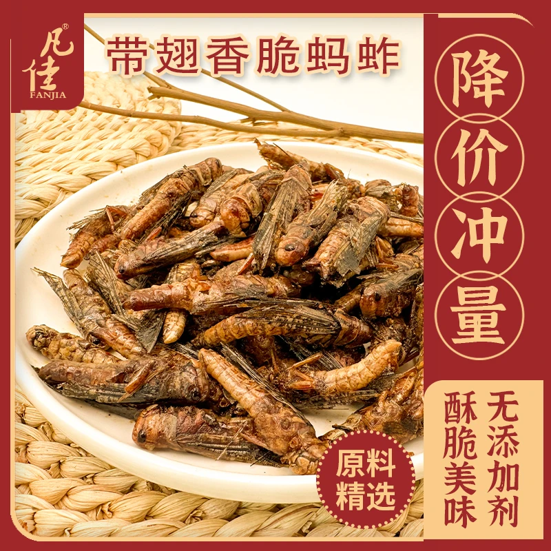 【波哥专属】带翅酒肴蝗虫香酥香辣麻辣炸虫子油炸蝗虫开袋即食蝗虫