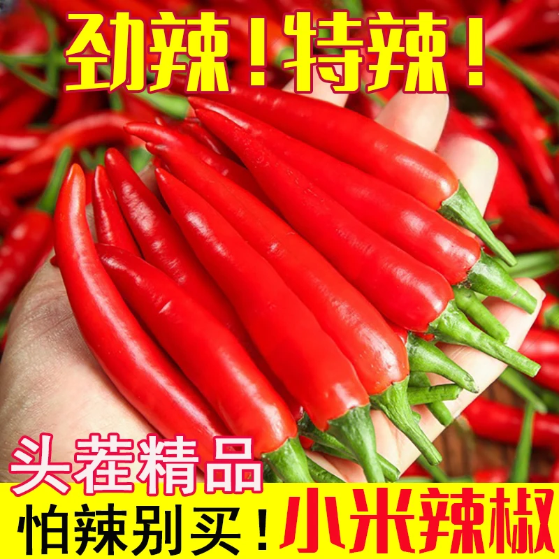 小米辣椒新鲜批发小米椒朝天椒特辣超辣薄皮土红辣椒指天椒包邮y
