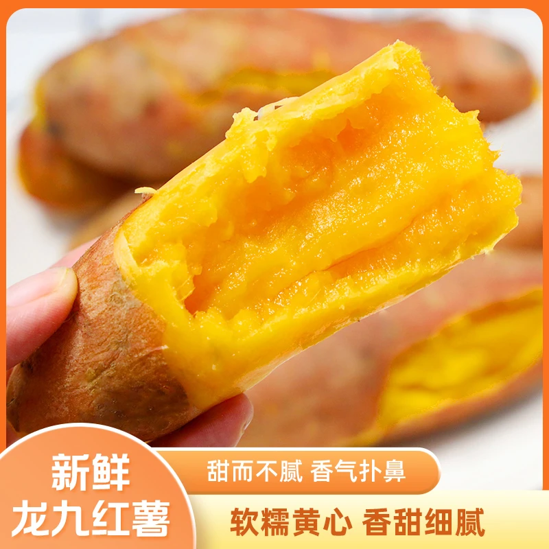 河南龙九红薯4.5斤产地直发