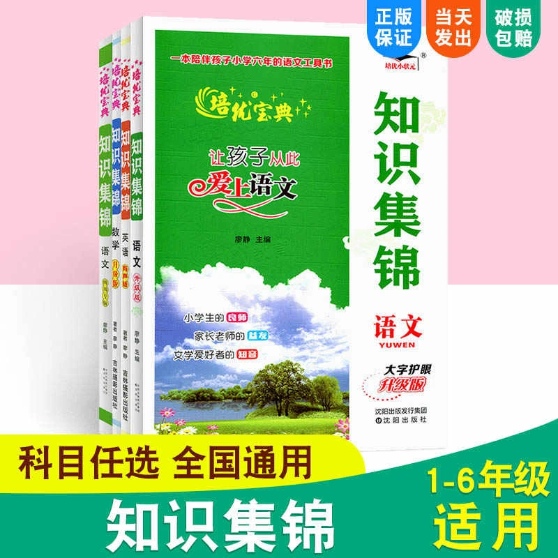 【2024新版】小学语文知识集锦四川专版 小升初知识大集结培优宝典