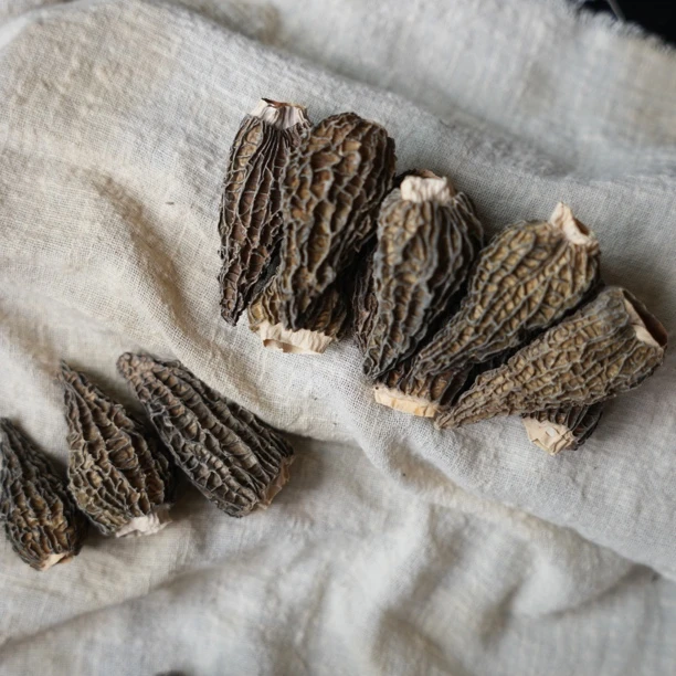 2-4公分宝宝菇羊肚菌  煲汤很鲜 蒸蛋煲粥做辅食