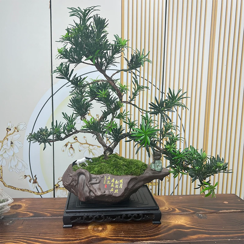 高端盆景老桩罗汉松酒店商场室内玄关摆件耐耐寒耐冻四季常青