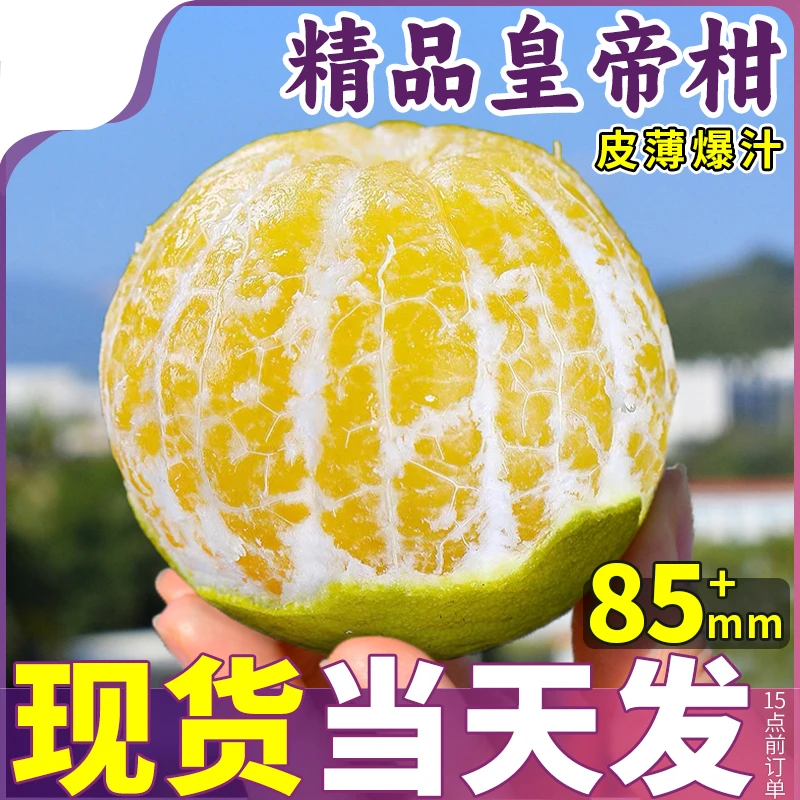 礼盒装正宗皇帝柑新鲜橘子香甜水果孕妇桔子橘子当季整箱爆汁严选