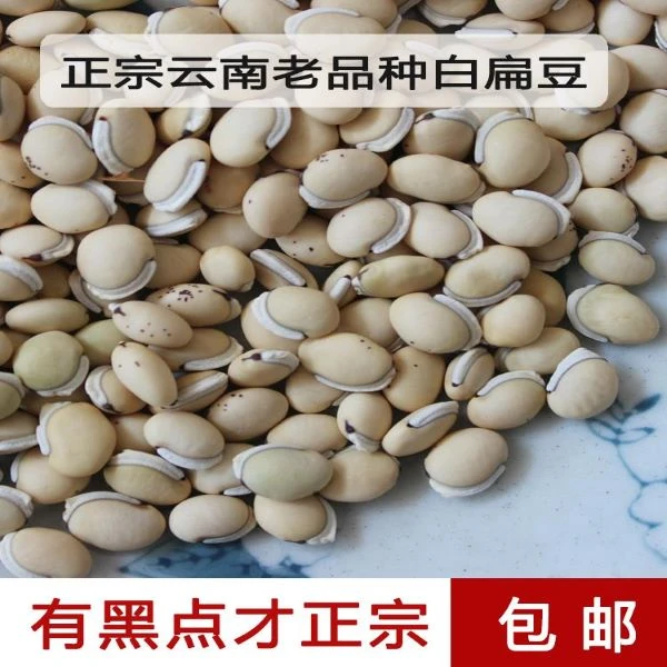 云南 白扁豆 农家自产山药品种白扁豆250g白果五谷杂粮可打粉无硫