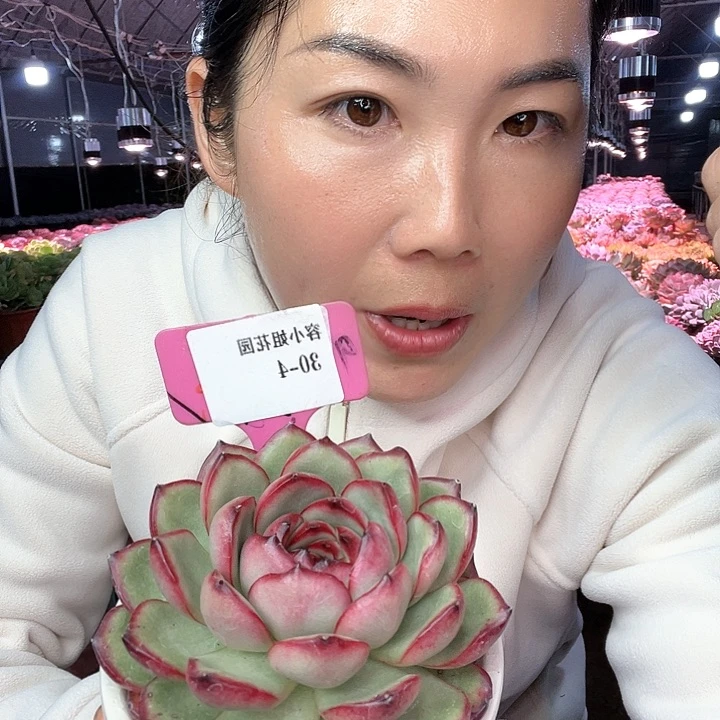 30.4万宝龙1个脱土