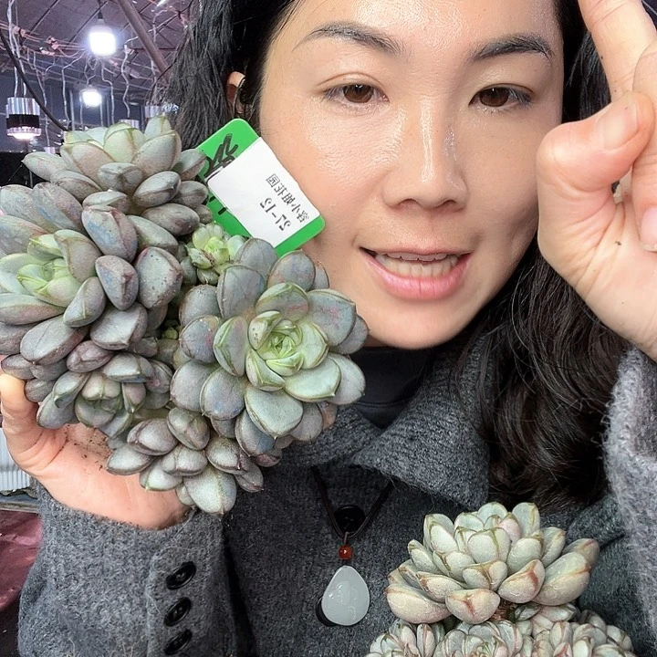 27.12葡萄一个脱土不包掉头