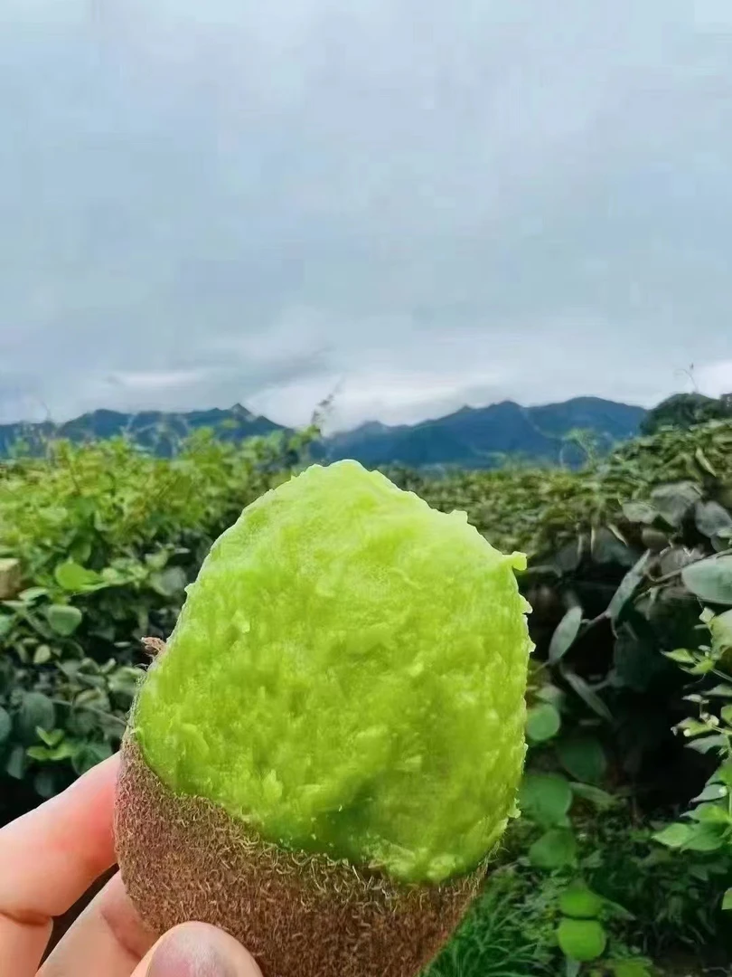 陕西眉县果园徐香猕猴桃软糯香甜九甜一酸老少皆宜坏果包赔家庭装