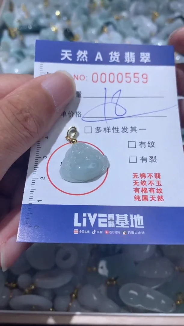 【闪购商品】翡翠颈饰未镶嵌00000559