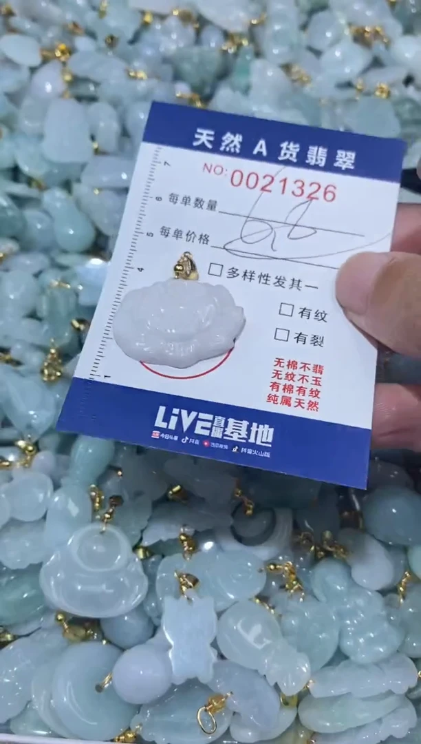 【闪购商品】翡翠颈饰未镶嵌00021326