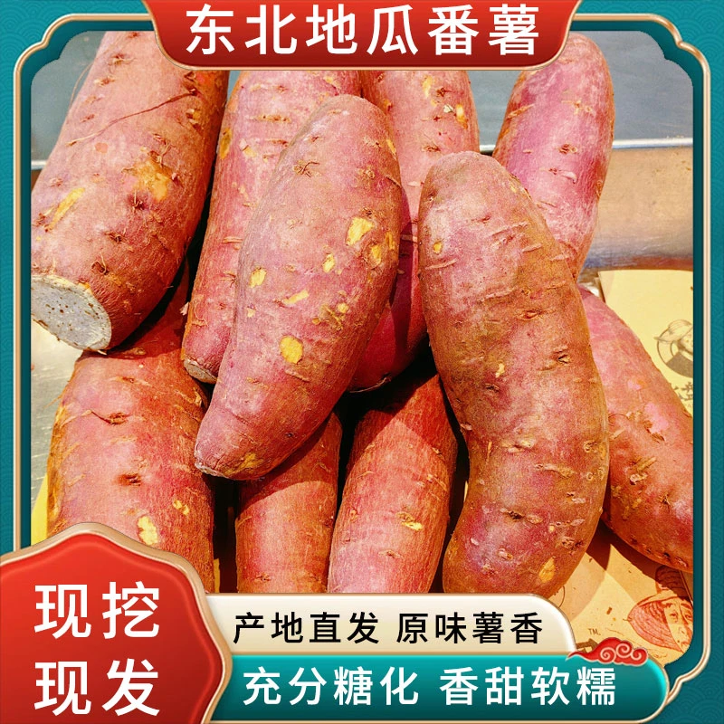 北盘农园锦田蜜薯