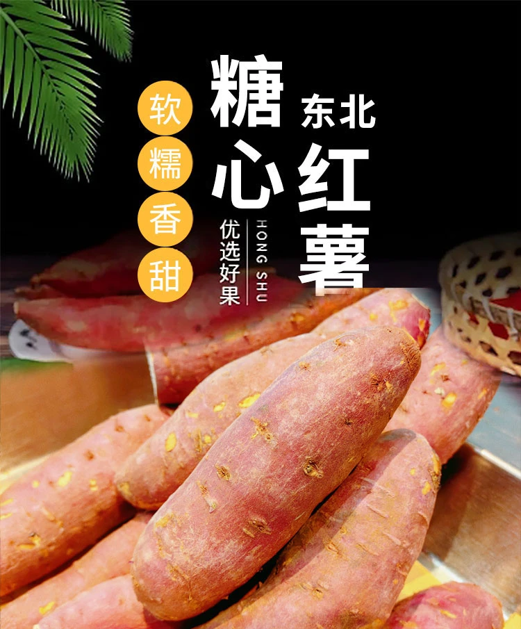 北盘农园锦田蜜薯