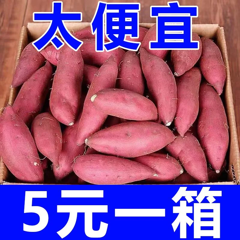 【抢购中】新鲜沙地红薯红心黄心蜜薯地瓜1-9斤番薯蔬菜水果板栗薯