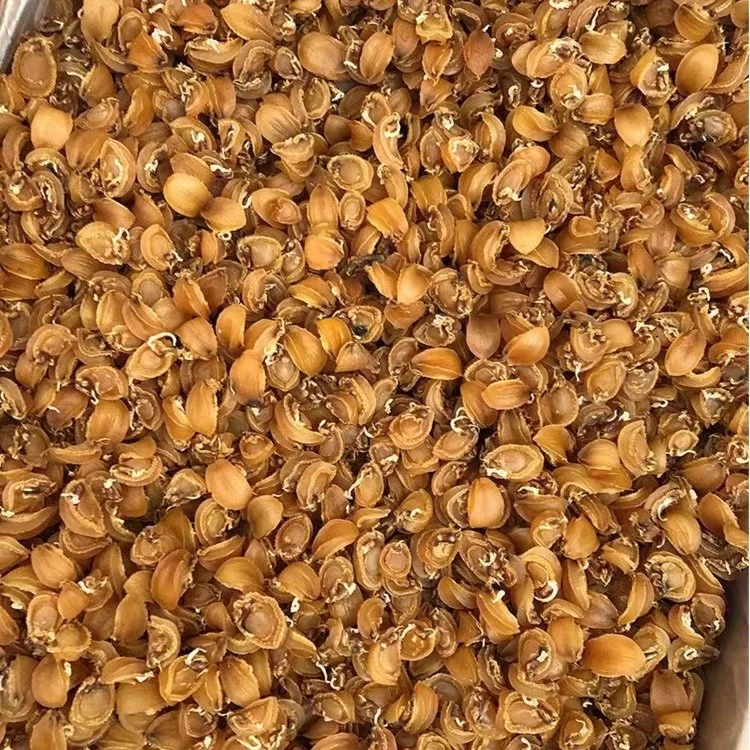 粉丝专享鲍鱼500头大连小鲍鱼干批发宝宝煲粥干货新鲜淡晒包粽子