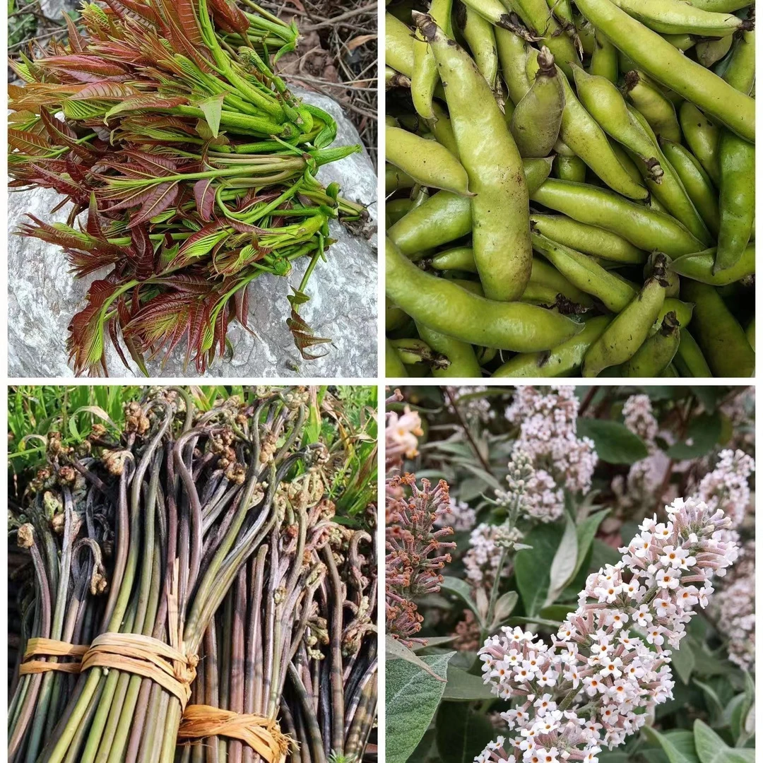 代购农家干货山货 500g