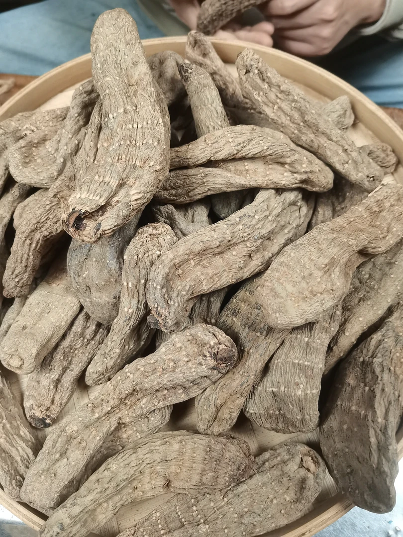 佰珍沐源精选【天麻】
