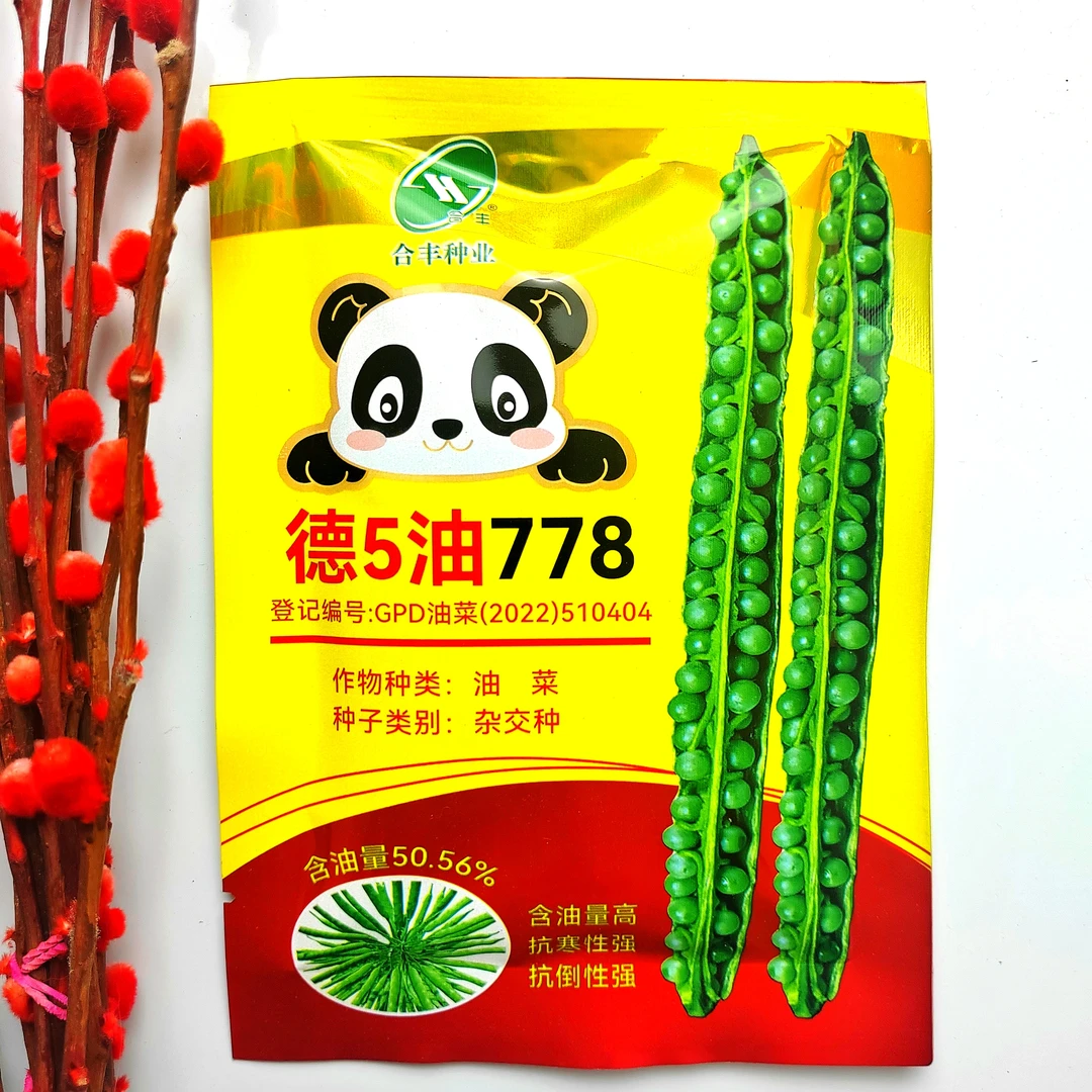 德5油778高产油菜种子大田油菜籽抗病抗倒伏含油量高杂交油菜花籽