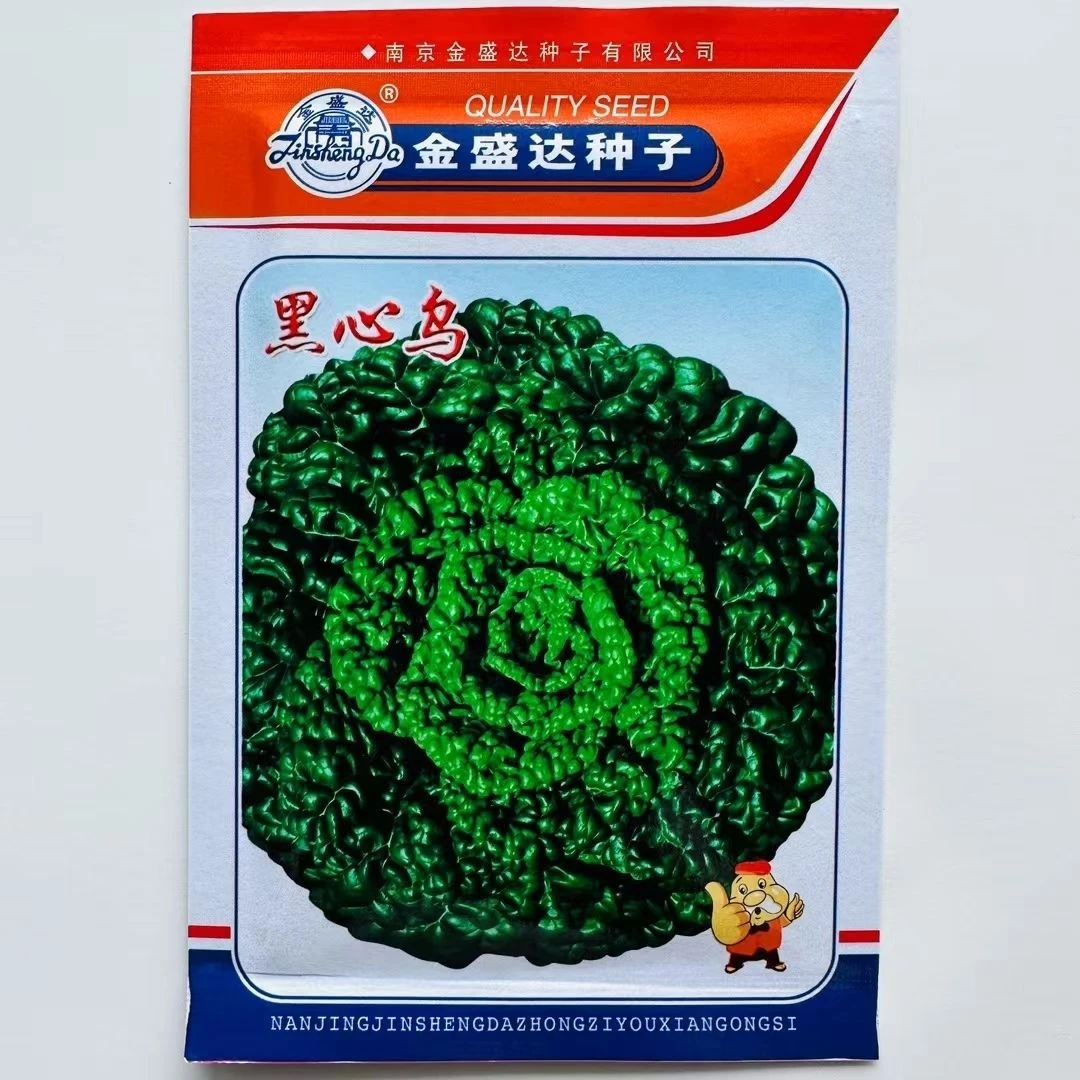 黑心乌种子黑乌菜籽白菜籽黑心乌塌菜种子耐寒秋冬季蔬菜种籽抗寒