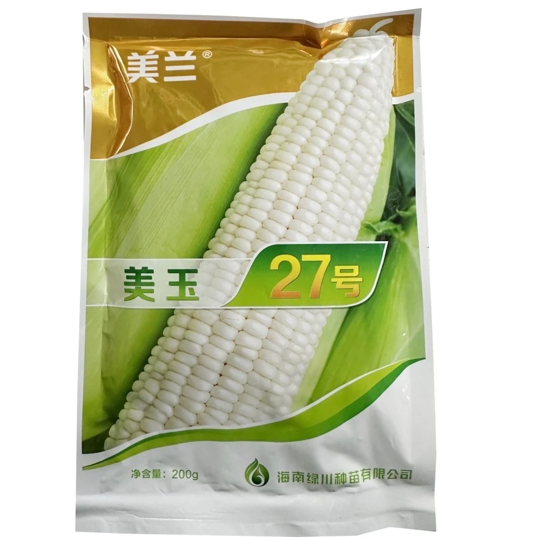 美兰美玉27号加糖版甜味糯绿皮早熟矮杆甜糯绵密香甜青梗菜种孑