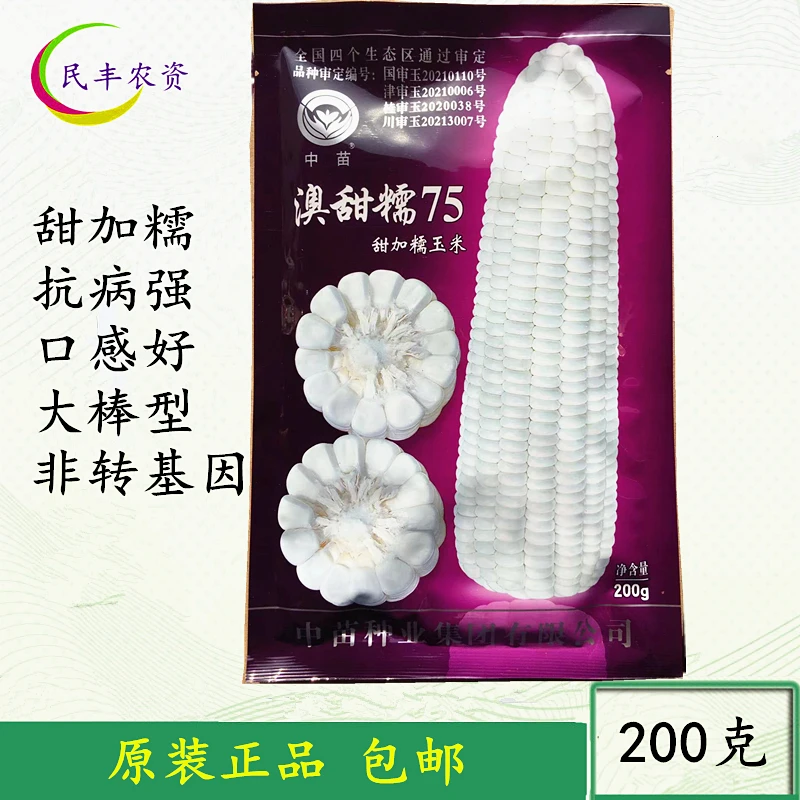 澳甜糯75甜加糯玉米优质种子 特大穗 品质好优 非鲜食玉米种