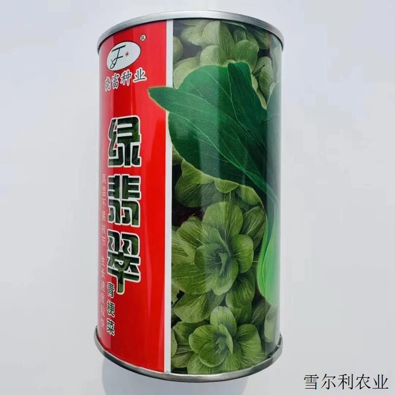 绿翡翠青梗菜种子耐热抗性耐雨束腰青菜种子南北方春夏秋四季播种