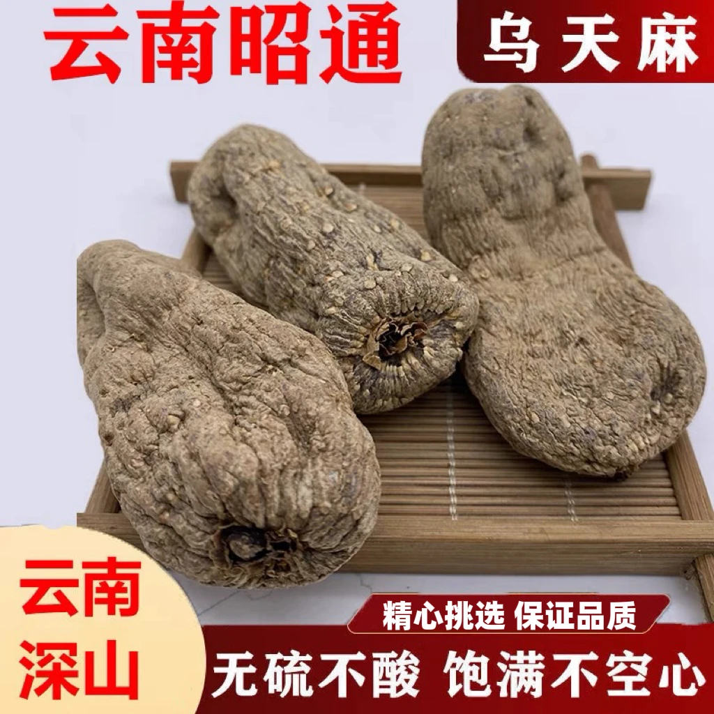 云南昭通小草坝黑天麻乌天麻无熏硫天麻新鲜云南昭通小草坝