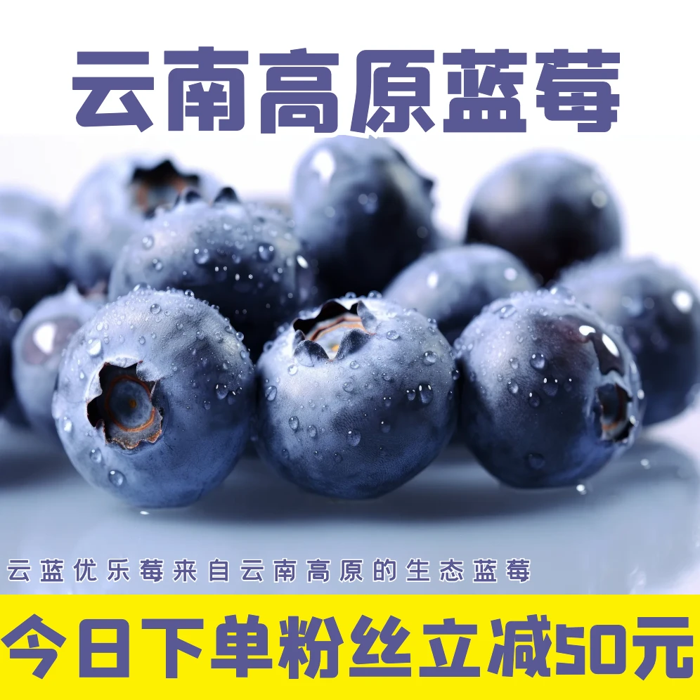 云南蓝莓带枝采摘新鲜蓝莓鲜果基地现摘应季水果 顺丰