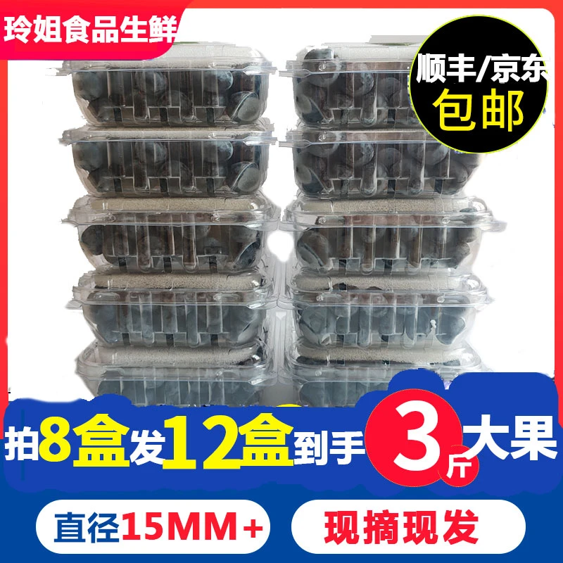 蓝莓大果15mm+拍8盒发10盒现摘现发孕婴辅食蓝莓净重2.5斤新鲜