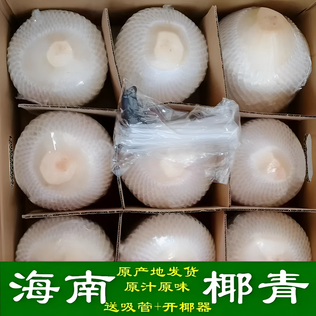 海南新鲜椰子文昌椰青现摘孕妇水果夏季解渴老少皆宜天然饮料健康