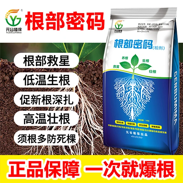 根部密码快速生根养根壮苗救苗对植物烂根/弱根/死棵 /黄苗/僵苗