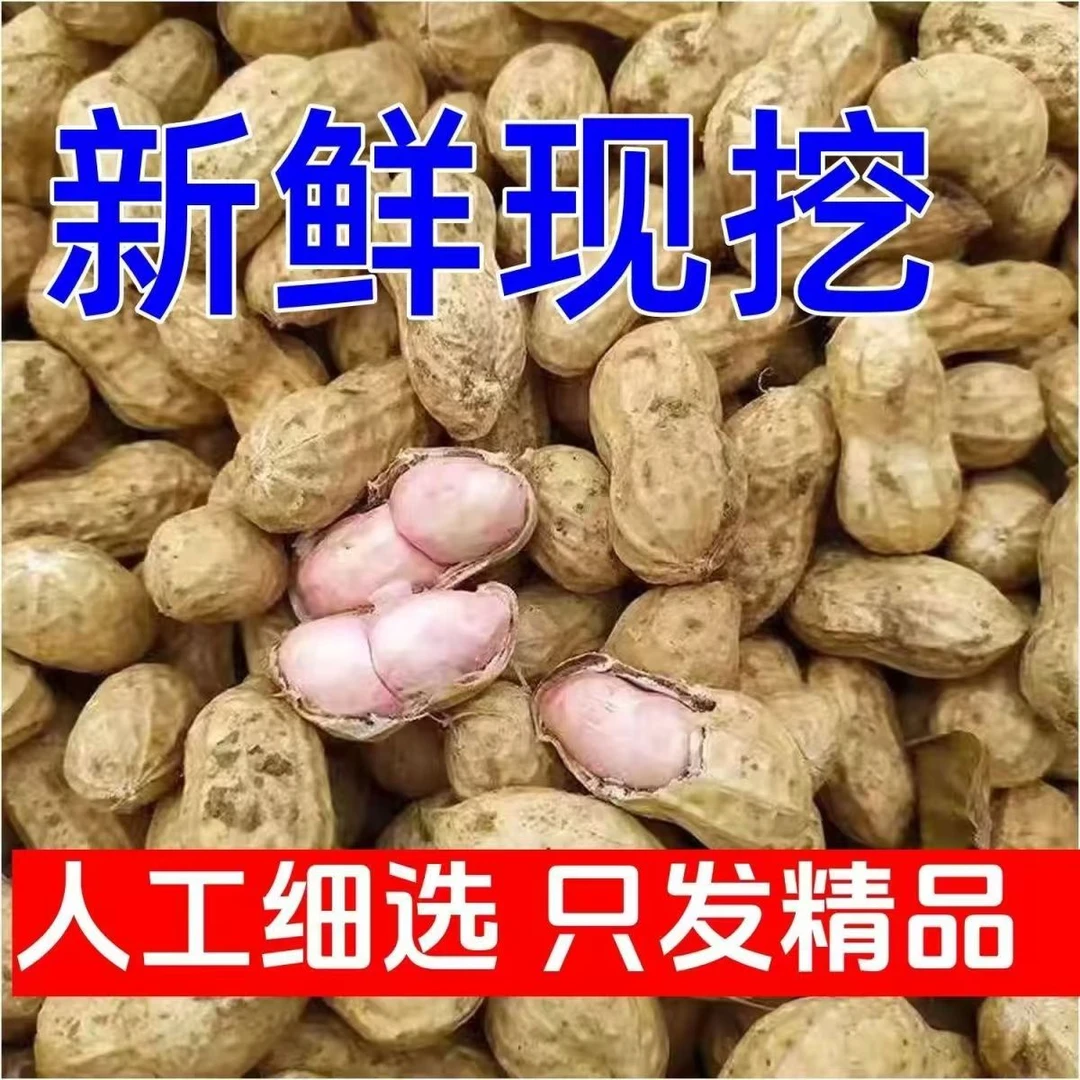 【带箱5斤】2024新鲜湿花生现挖现发花生粉皮带壳农家自种