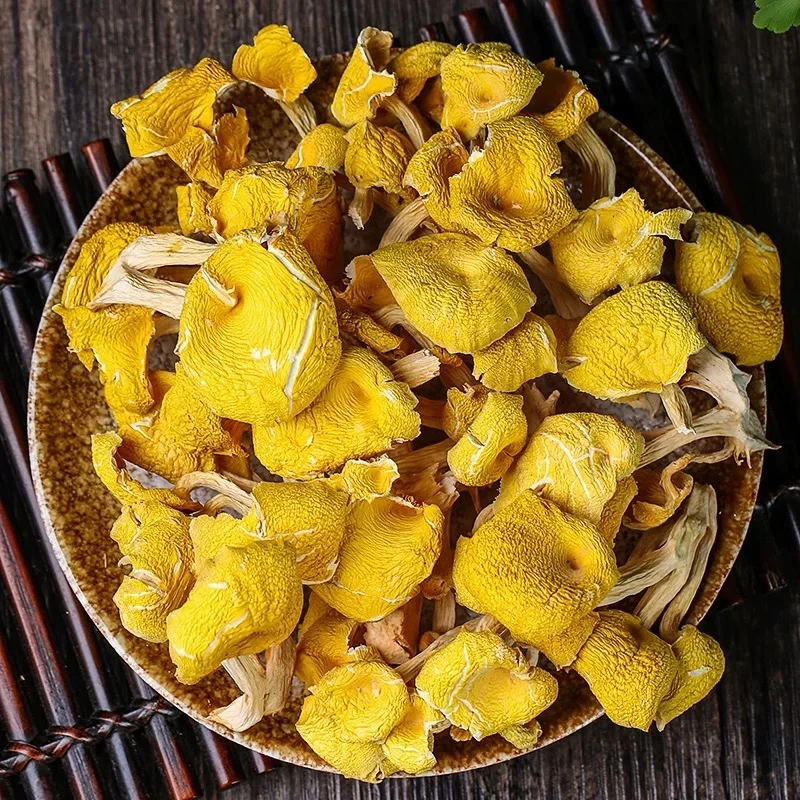云南高原山货 鸡油菌菇 卤蛋甄选