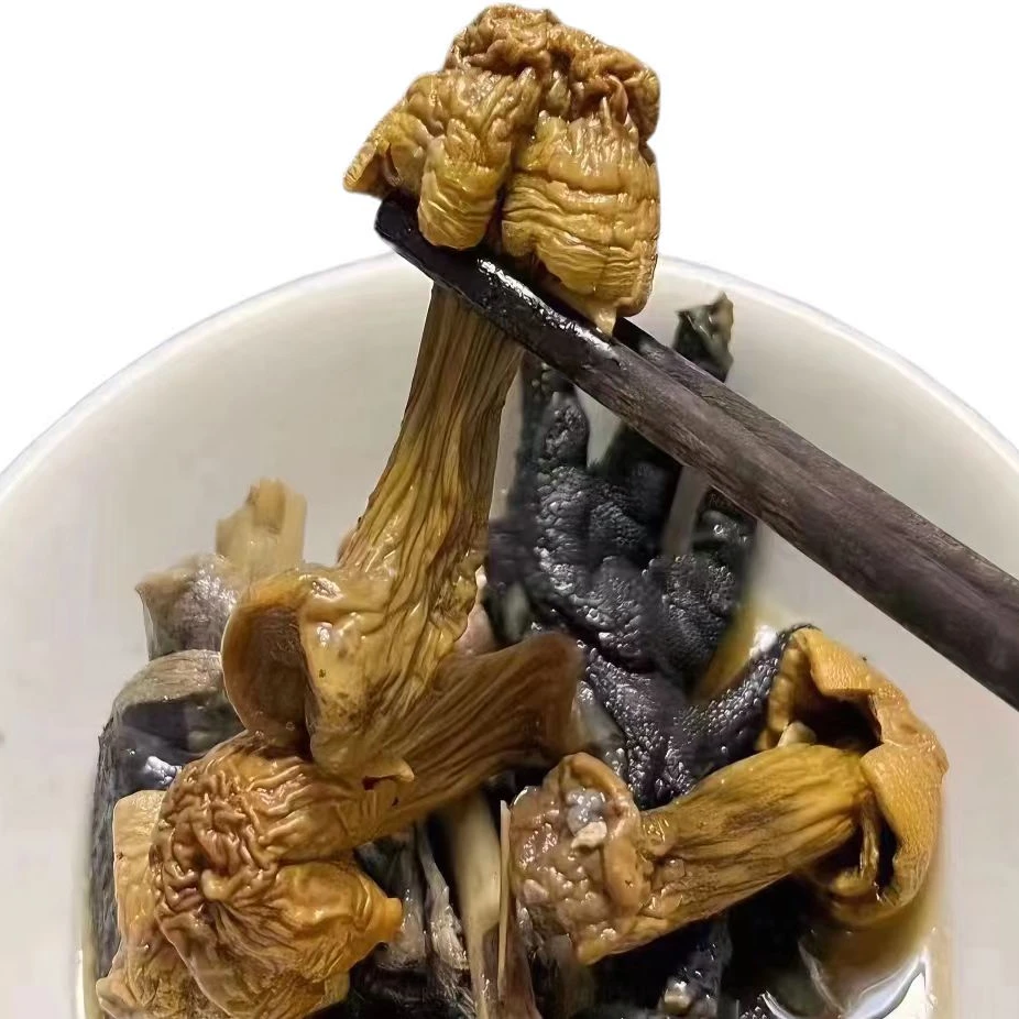 【姬松茸】云南高原山货土货