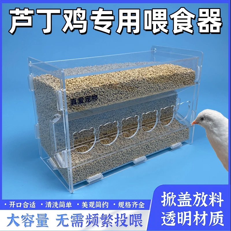 新款芦丁鸡亚克力喂食器自动下料饲料盒小鸡大容量盒饮水喂水器