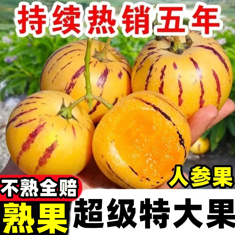 云南石林人参果人生果人叁果水果七彩黄肉圆果自然熟当季新鲜孕妇