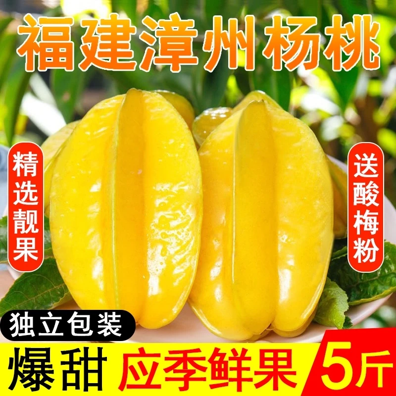 福建漳州酸甜杨桃水果包邮新鲜杨桃大果整箱现摘洋淘营养香甜美味