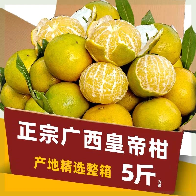 广西皇帝柑新鲜应当季水果整箱橘子桔子丑沃贡柑橘蜜砂糖甜大