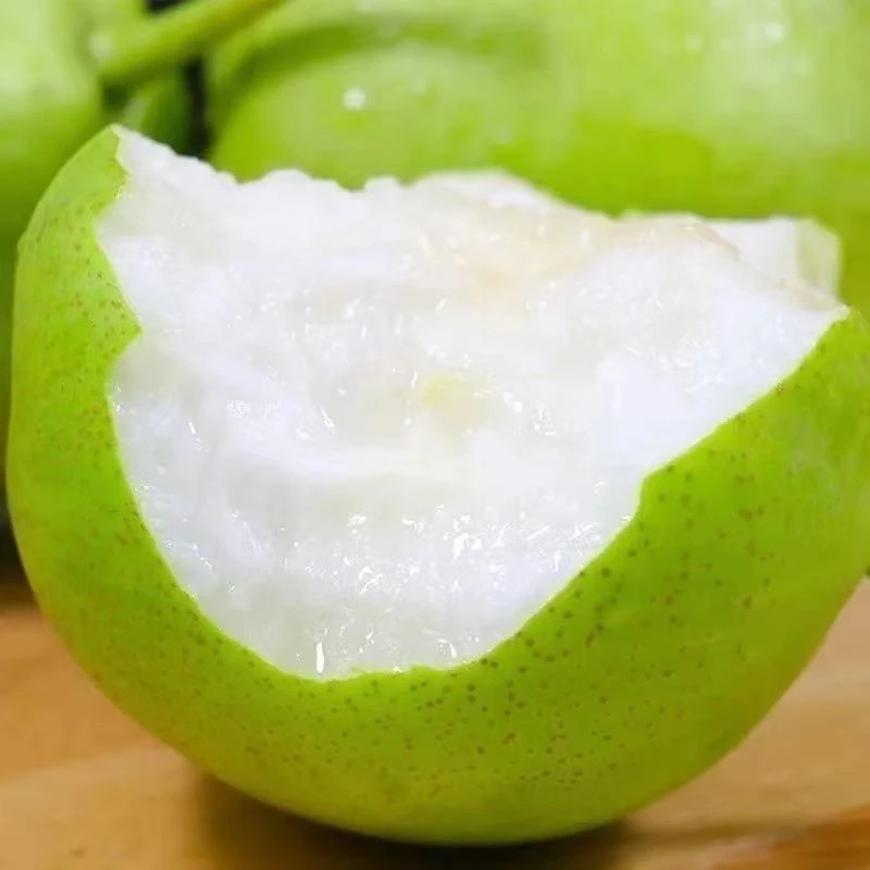 青皮皇冠梨皮薄脆甜无渣水果砀山梨甘甜新鲜汁水多河北梨子非雪梨