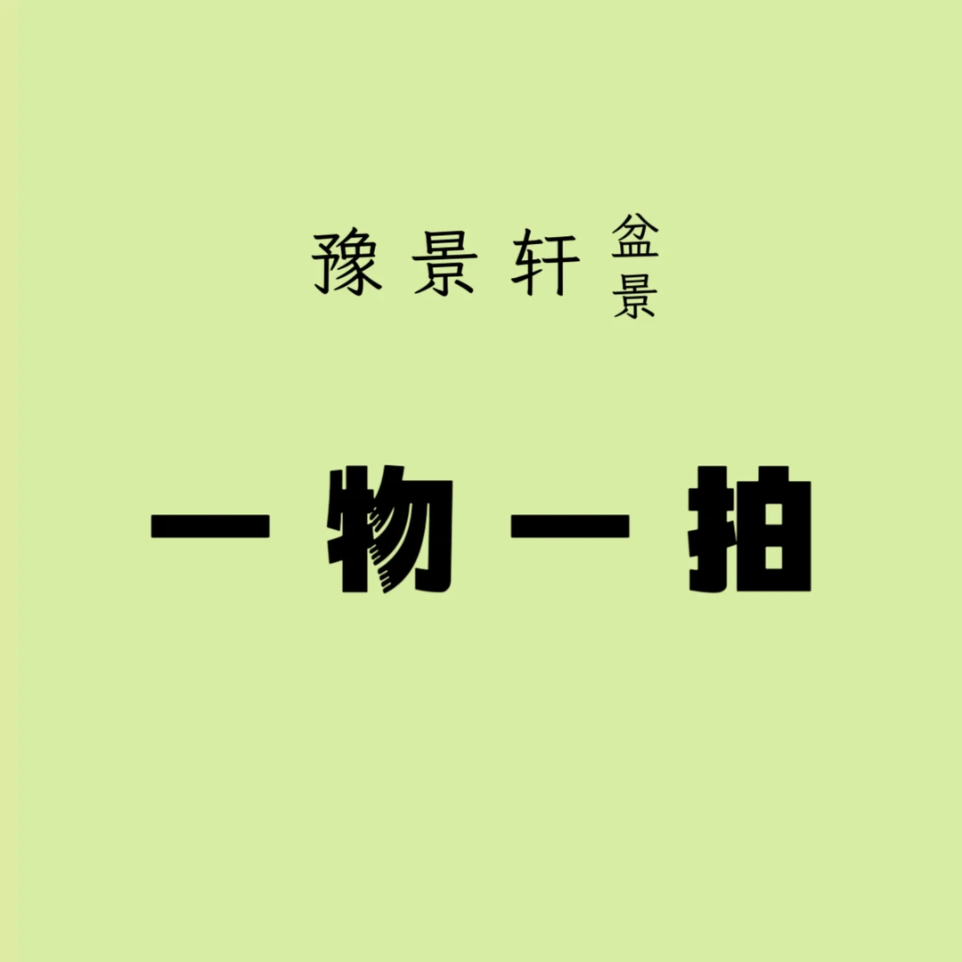 （豫景轩盆景）盆景通用链接 一物一拍