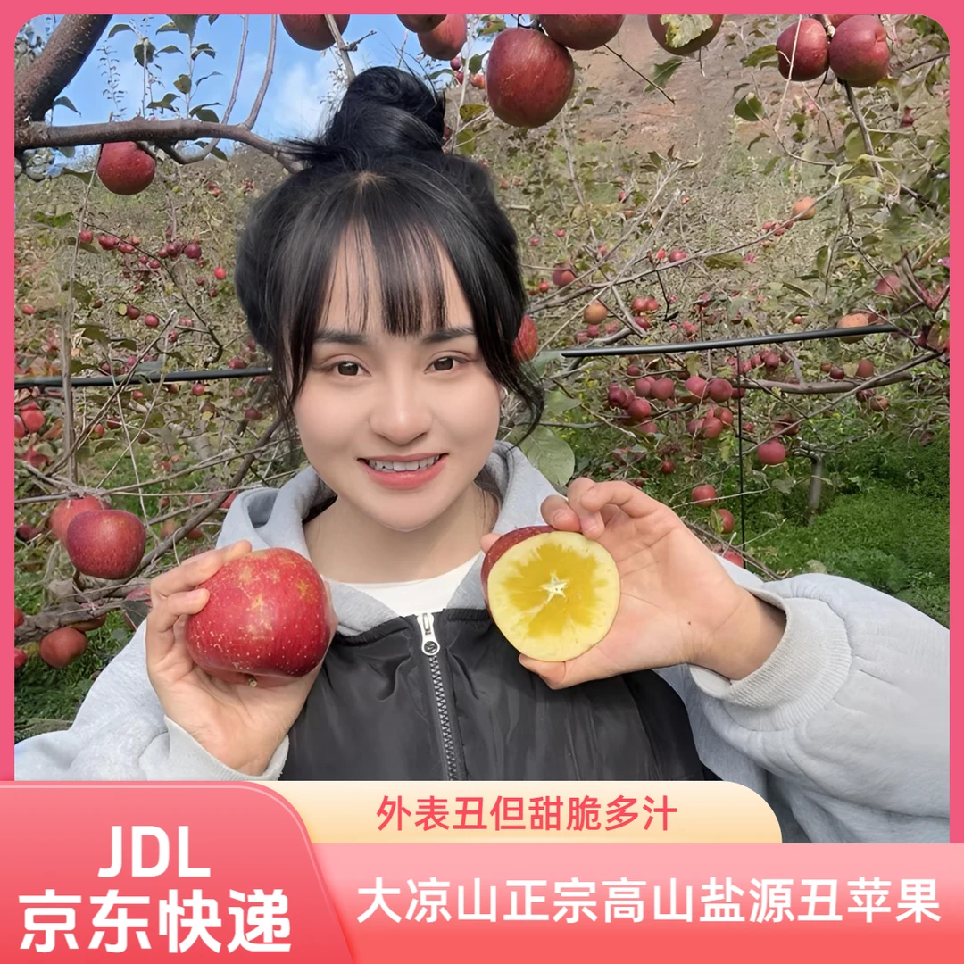 【A京东，京东发不了发普快】大凉山高山盐源丑苹果 外表丑甜脆多汁