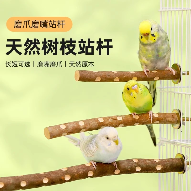 鹦鹉站架站杆用品大全杜鹃木磨牙棒磨嘴器专用鸟笼子站棍啃咬站台
