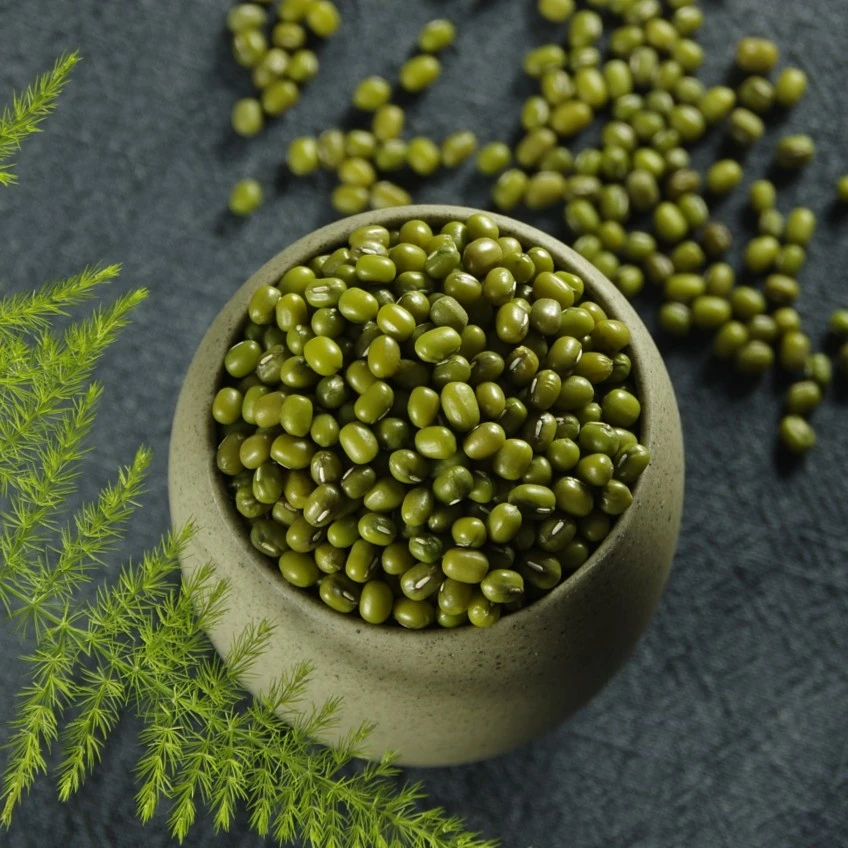 （仅限新疆）新绿豆陕北农家自产解暑绿豆新鲜优质粗粮5斤真空包装