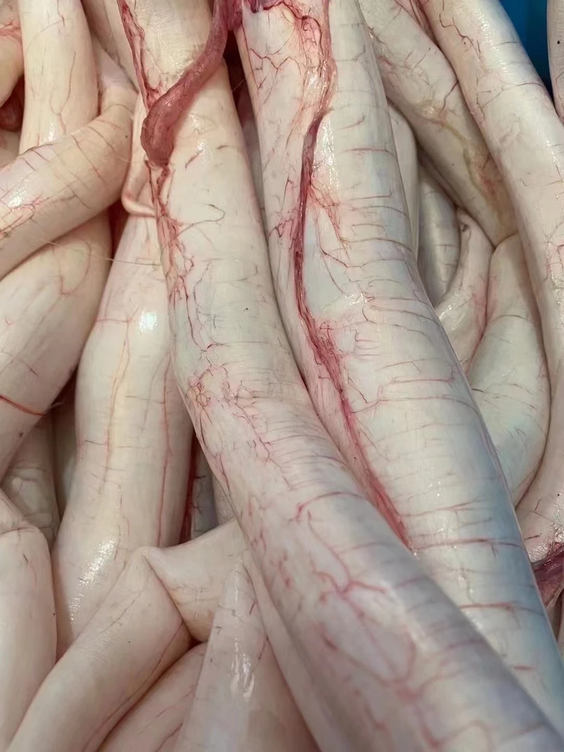 放紧鳗鱼鰾，一斤6条，需要代洗下单备注