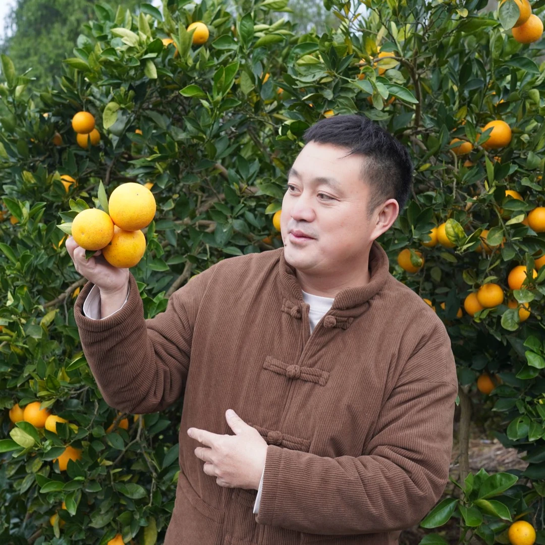 【现摘现发】湖南麻阳正宗高山冰糖橙新鲜当季水果一口爆汁